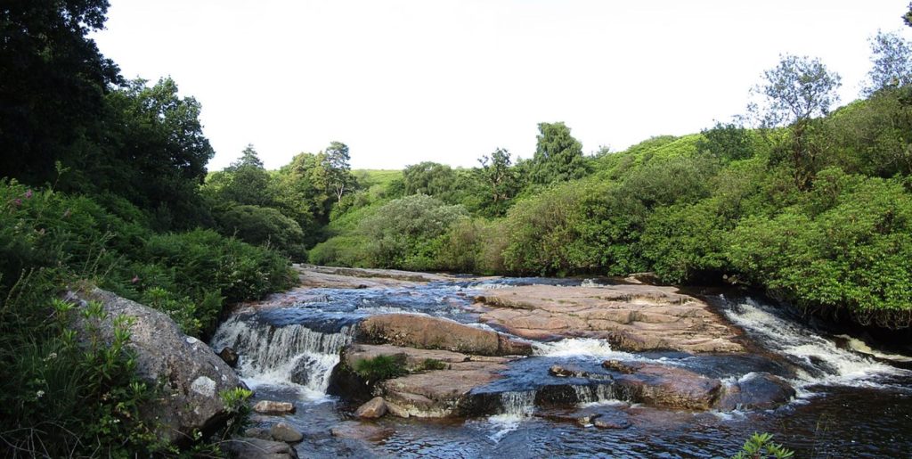 River Avon, South Devon, Partonez