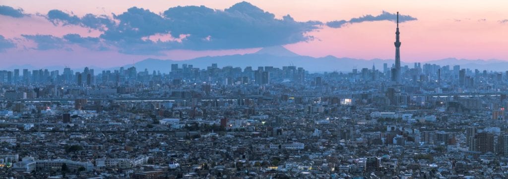 View of the city against the backdrop of Mount Fuji, Tokyo, Julian Elliott 