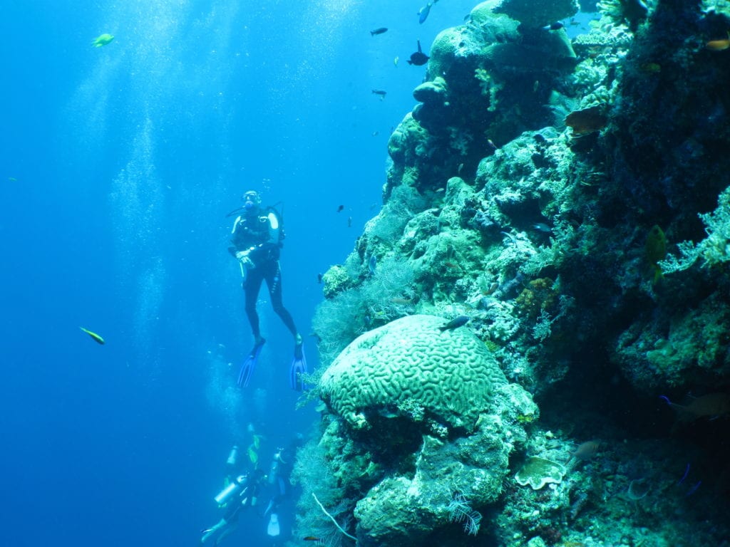 Ben Top of Coral Wall Indonesia by Ben Thompson