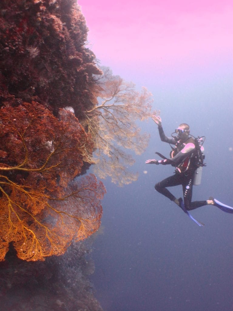 Coral Diving Pulau Ambon Indonesia by Ben Thompson