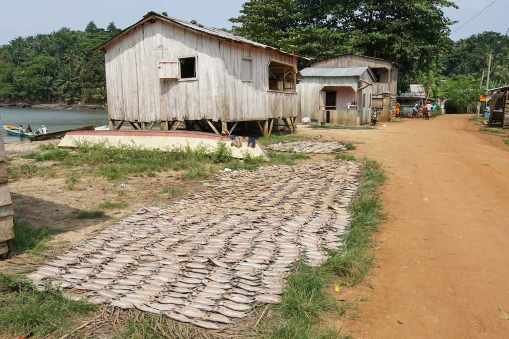 Fishing village Abade Principe STP by alfotokunst Shutterstock