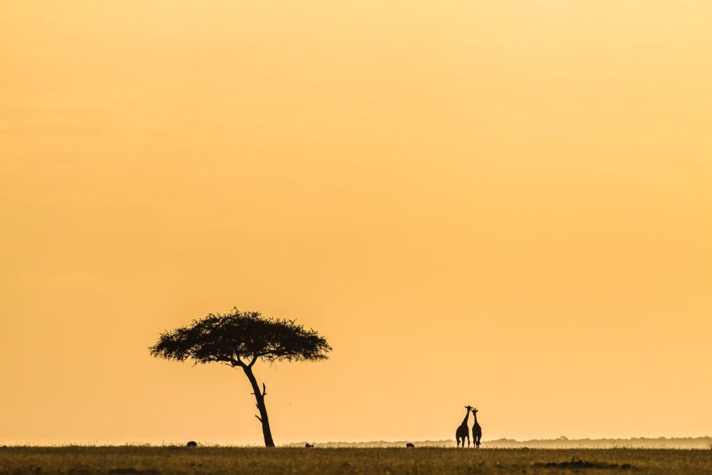 Stuart Butler the Maasai and East Africa photo story