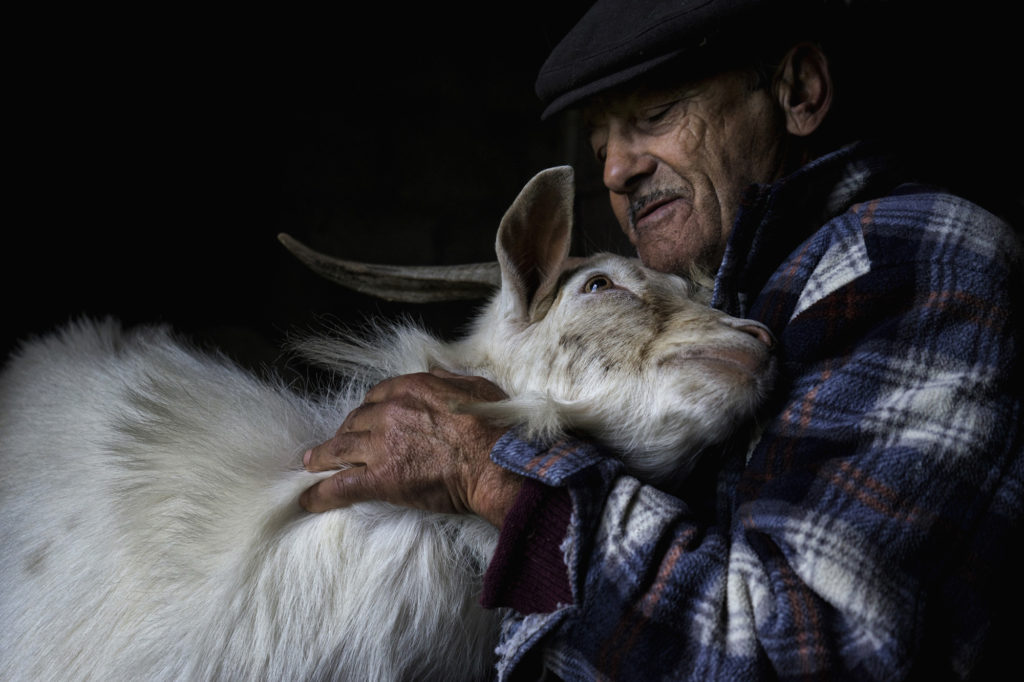 Jorge Bacelar TPOTY