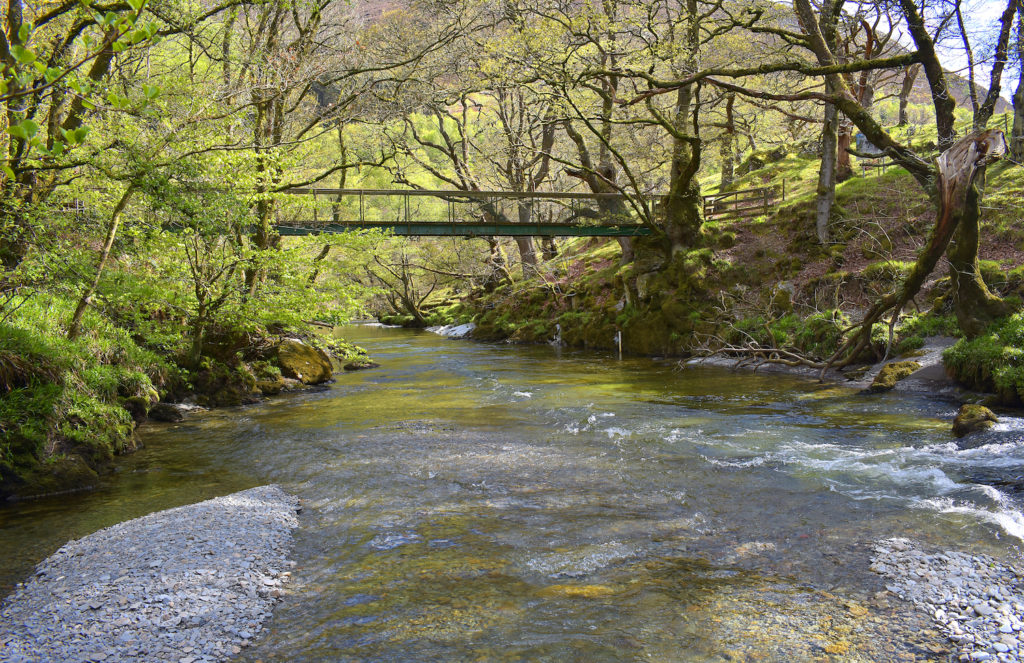 Gilfach Nature Reserve Wales by ieuan Shutterstock wildlife breaks Wales