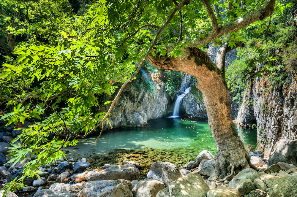 Gria Vathra Therma Samothraki Northern Greece by catalin eremia Shutterstock