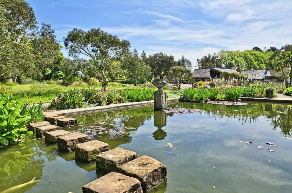 Logan Botanic Garden Dumfries and Galloway by Kevin Eaves Shutterstock