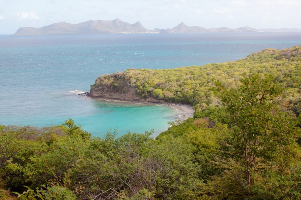 Anse La Roche beach in Grenada. 