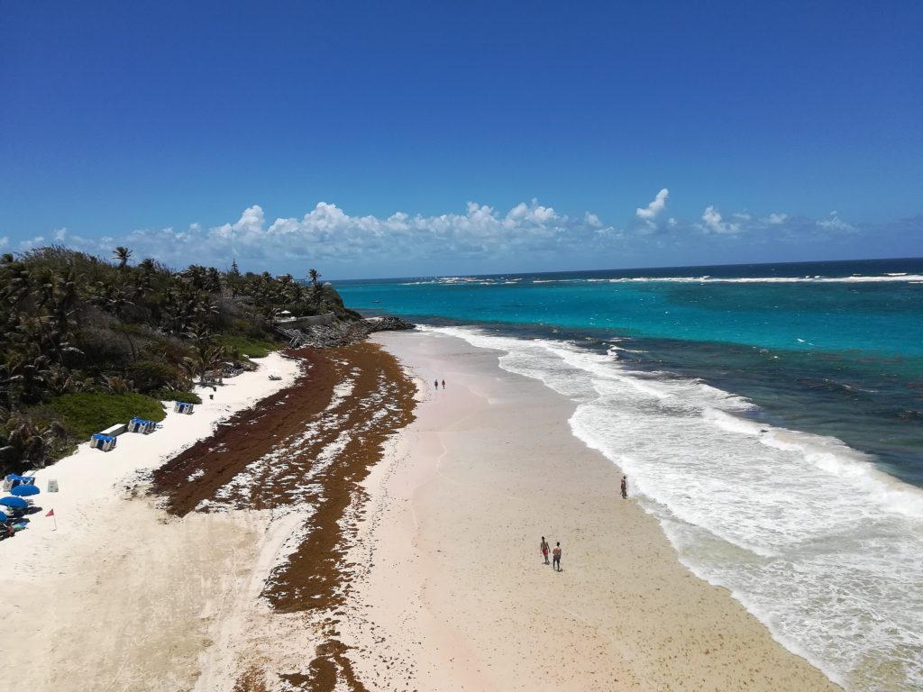 Crane Beach, Barbados by Clump, Wikimedia Commons