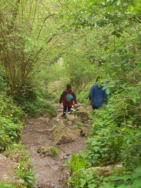 Ebbor Gorge, Somerset, Dave Beynon, Wikimedia Commons