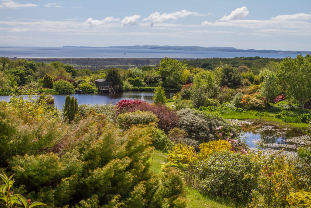 Glehnwhan Gardens, Dumfries and Galloway, Stephanie Ann Photography