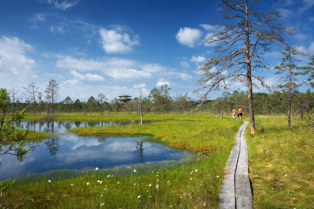 Lahemaa National Park Estonia by LeManna Shutterstock