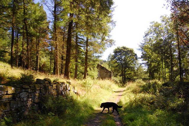 Macclesfield Forest, Cheshire, Trevor Harris, Wikimedia Commons