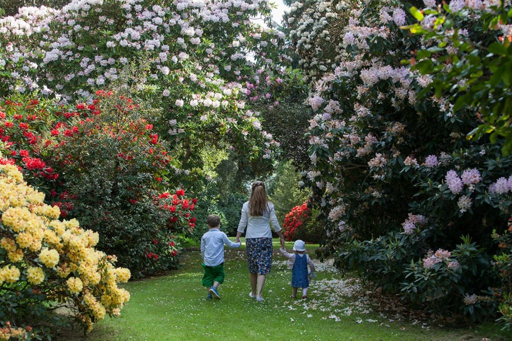 Castle Kennedy Gardens, Dumfries and Galloway by Castle Kennedy 