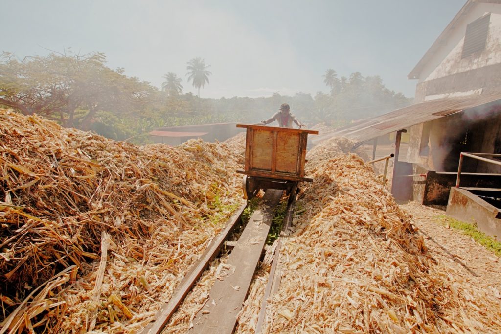 A man grinds sugarcane to make rum at the River Antoine Distillery in Grenada. 