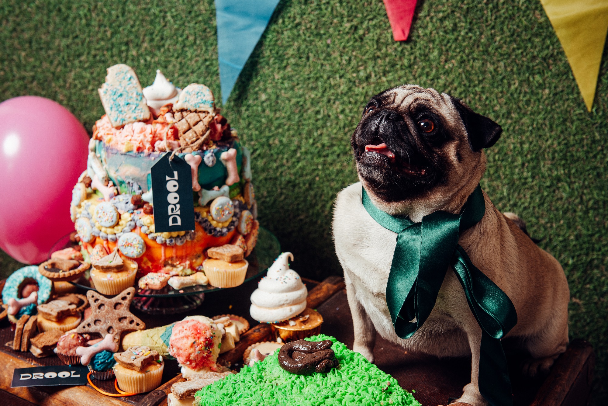 Pug life Food hall for dogs to open in Bournemouth