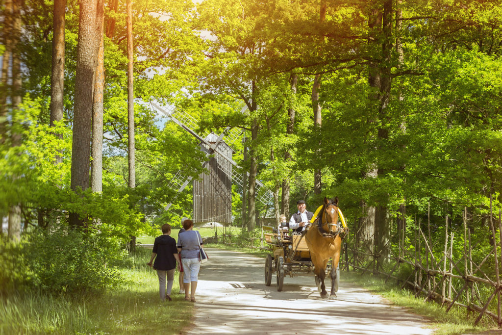Tallinn Open Air Museum Estonia by chasdeisgn, Shutterstock