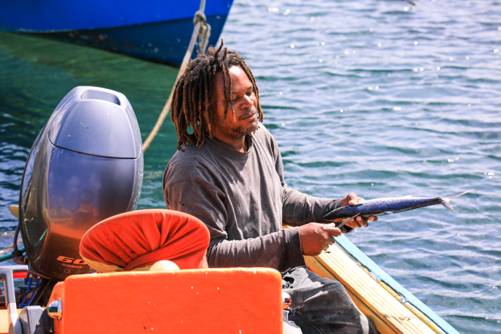 Fishing, Dominica by Dave Primov, Shutterstock