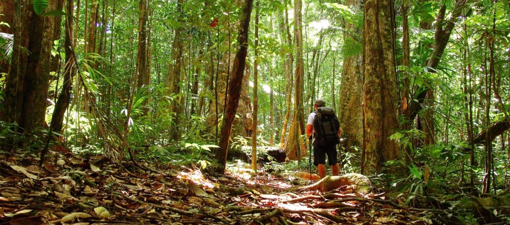 Wai’tukubuli National Trail, Dominica by Paul Crask