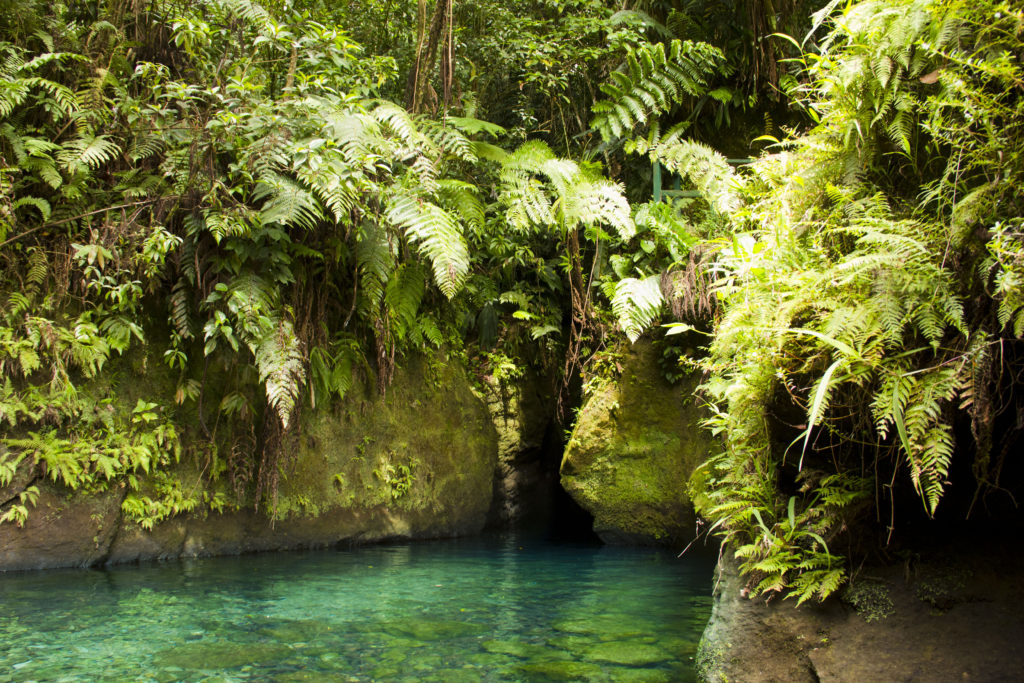 Ti Tou Gorge, Dominica by Emily Eriksson, Shutterstock