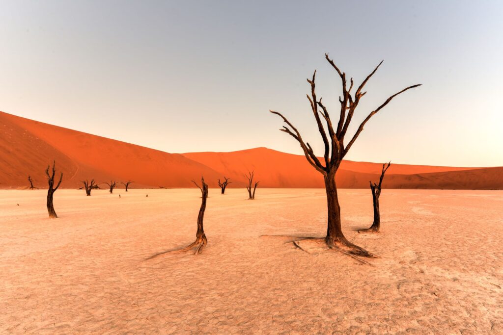 the Namib desert in West with the Light 