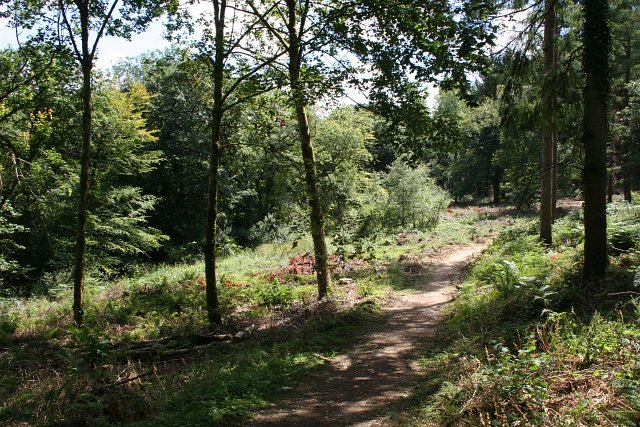 Idless Woods St Piran Trail cycling Cornwall