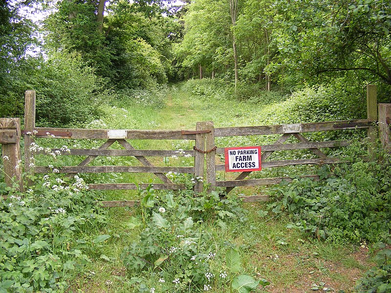 Potsford Wood spookiest Britain