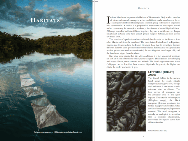 Bradt Galapagos Wildlife Guidebook - Image 2