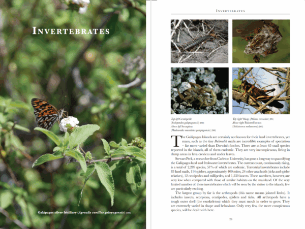 Bradt Galapagos Wildlife Guidebook - Image 3