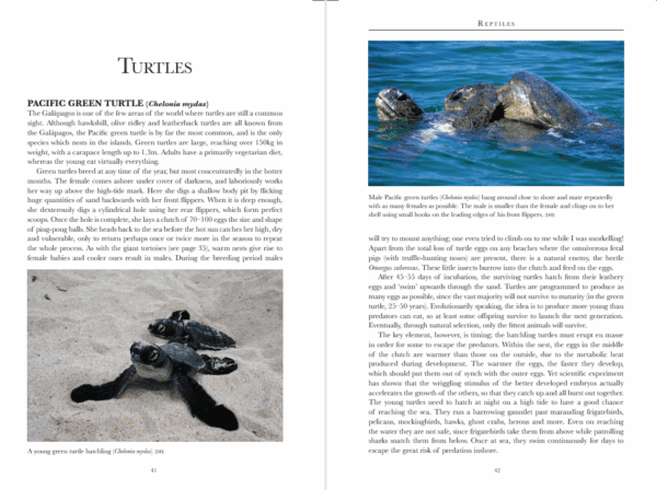 Bradt Galapagos Wildlife Guidebook - Image 4