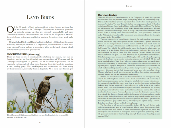 Bradt Galapagos Wildlife Guidebook - Image 5