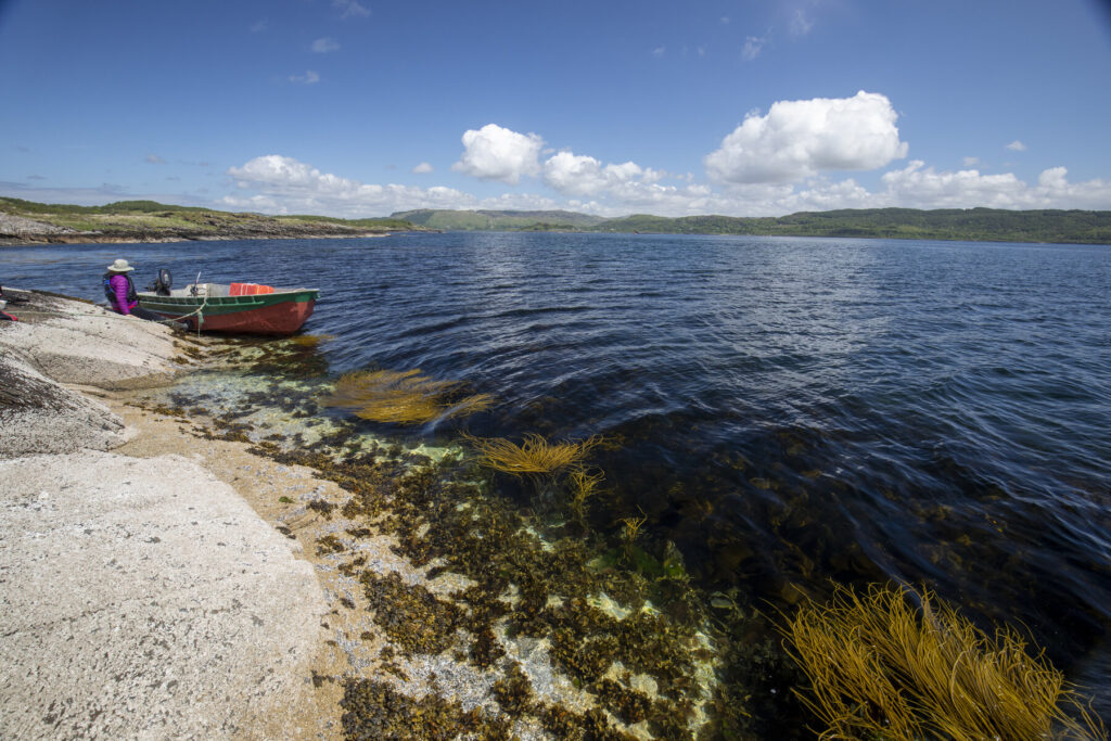 Islets Shuna William Gray