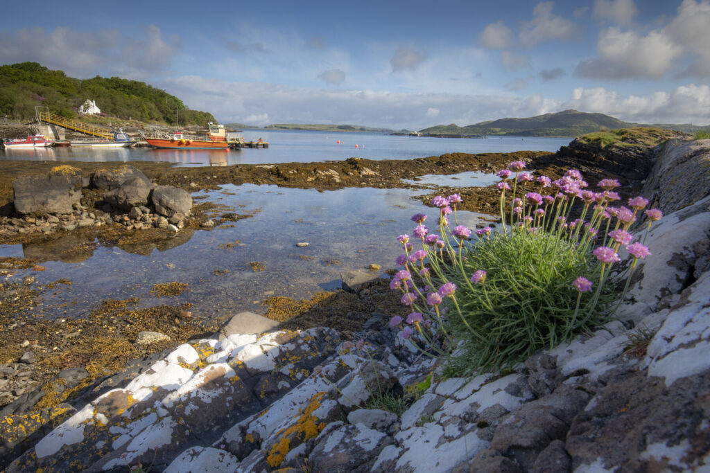 Rockpools Shuna William Gray