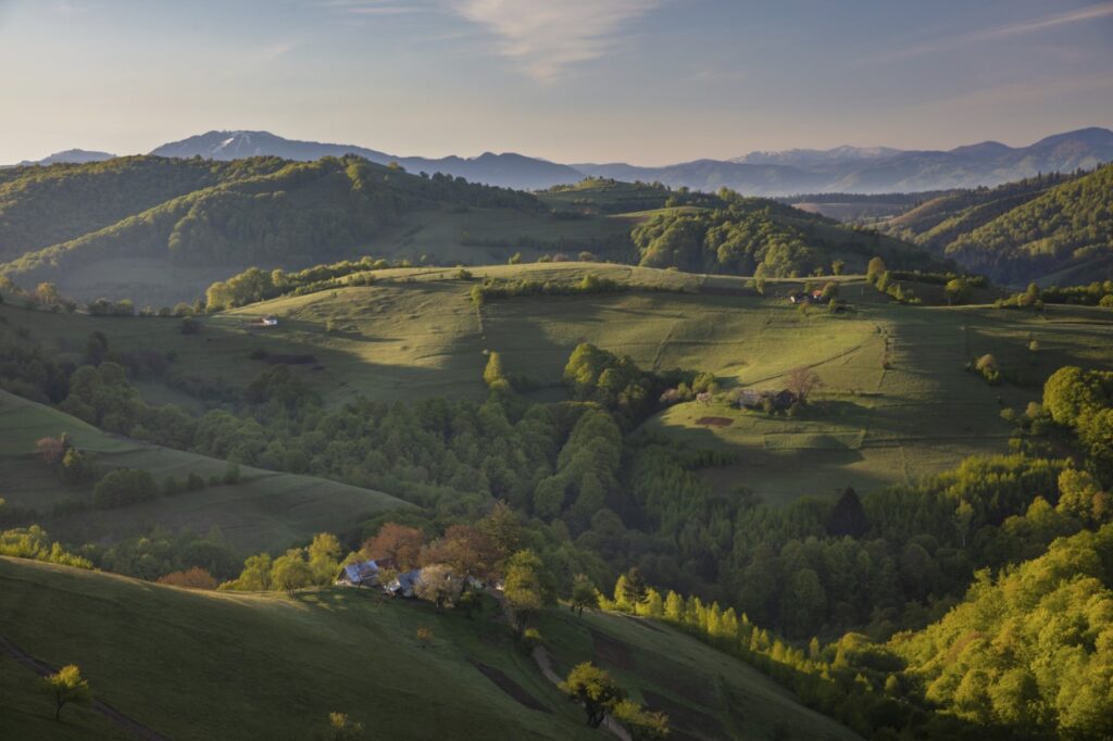 Carpathian Mountains Romania Jeremy Flint