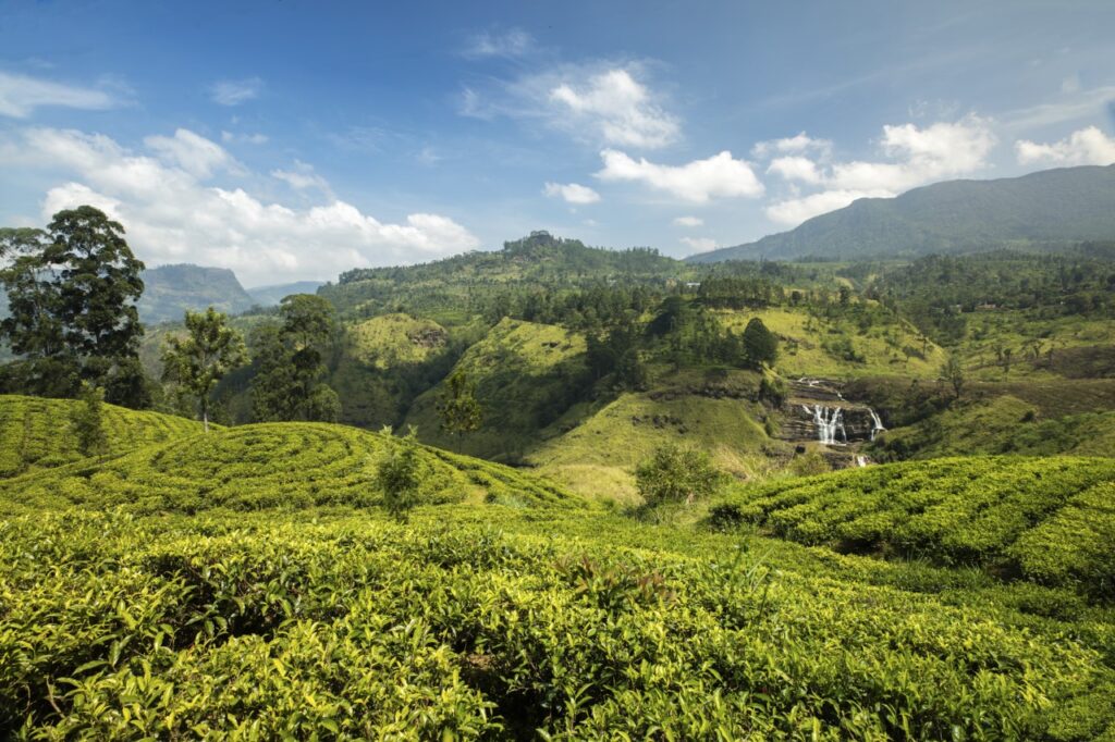 Sri Lanka Jeremy Flint