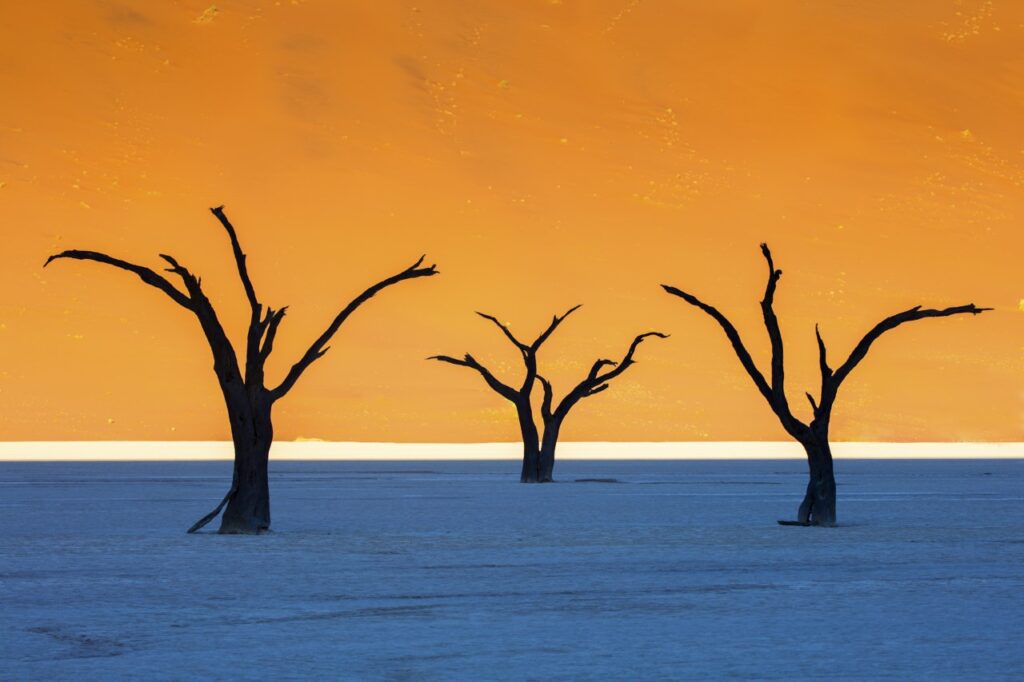 Namibia Jeremy Flint