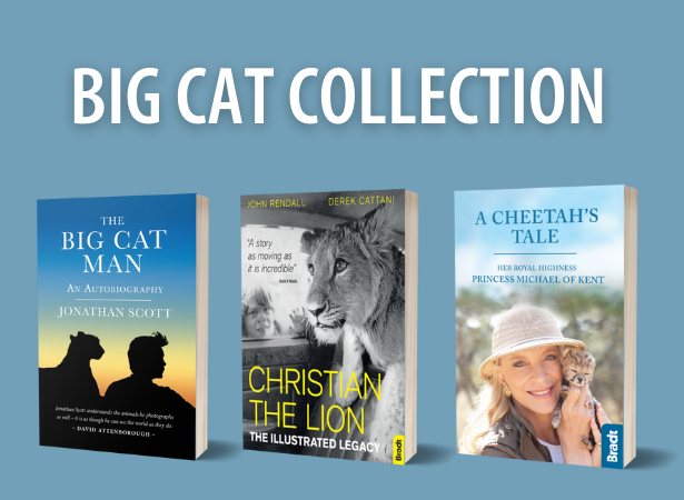Big Cat Collection – 64% off RRP!