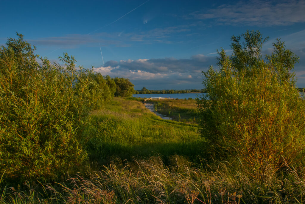 This image has an empty alt attribute; its file name is Fen_Drayton_Lakes_Cambridgeshire_David1968M_shutterstock_-1024x683.jpg