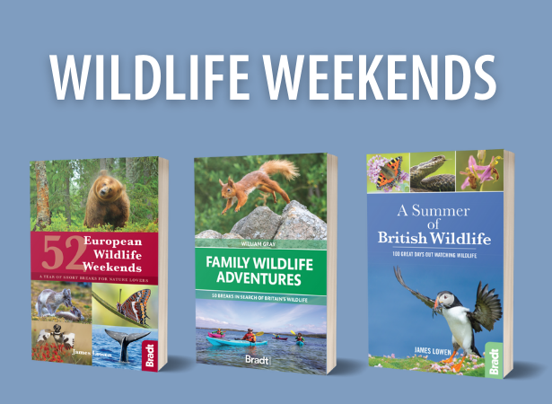 Wildlife Weekends Collection – 39% off RRP!