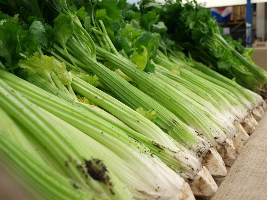 Celery Cambridgeshire