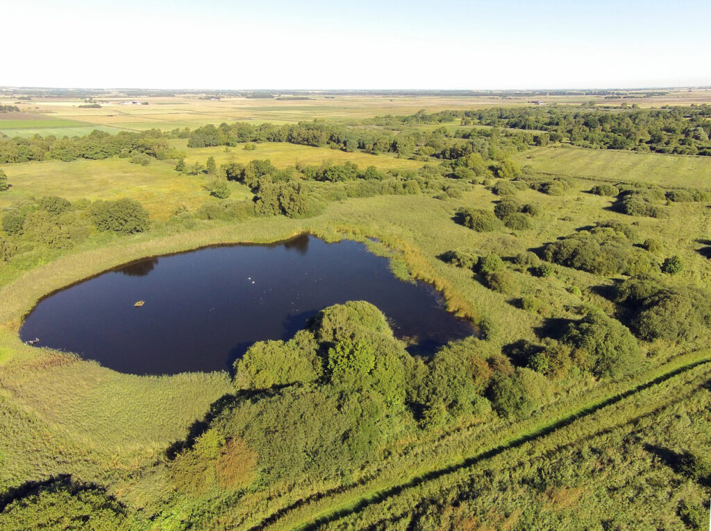 This image has an empty alt attribute; its file name is rsz_great_fen_aerial_woodwalton_fen_by_henry_stanier-1024x766.jpg
