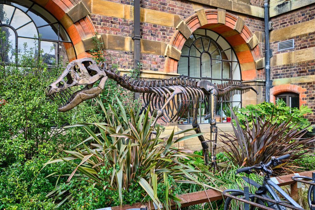 Sedgwick Museum Cambridge 