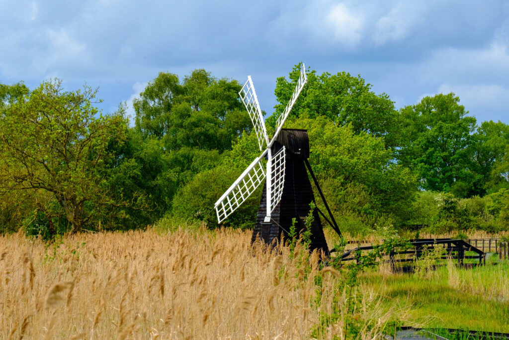 Wicken Fenn Cambridgeshire 