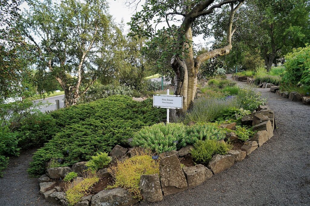 This image has an empty alt attribute; its file name is Akureyri_Botanical_Gardens_Iceland_Alexander_Grebenkov_Wikimedia_Commons-1024x680.jpg