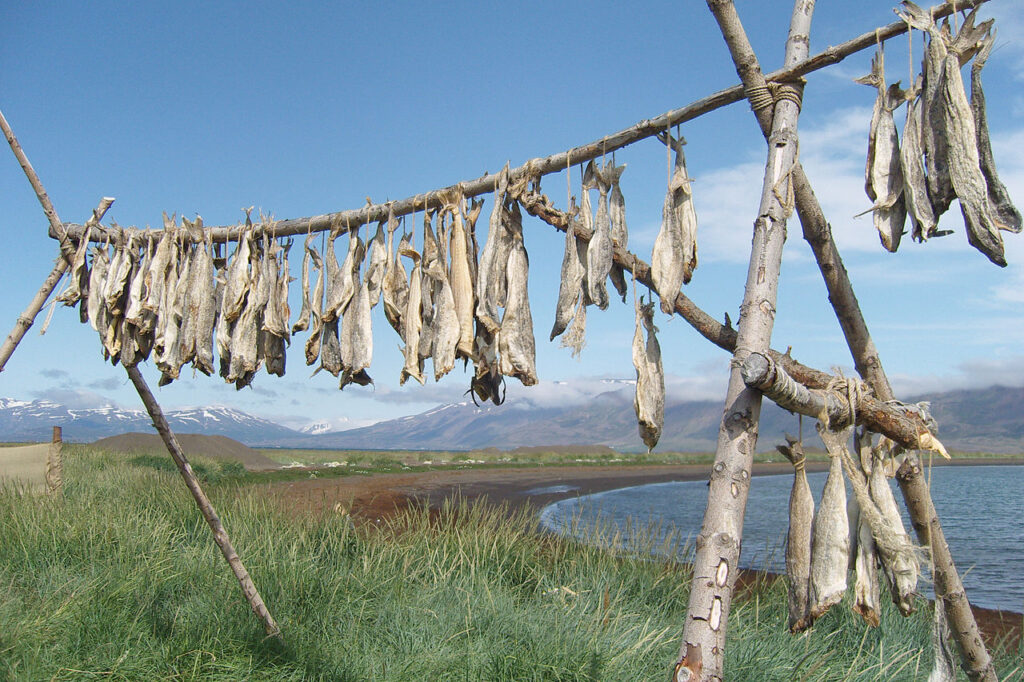 Iceland food and drink