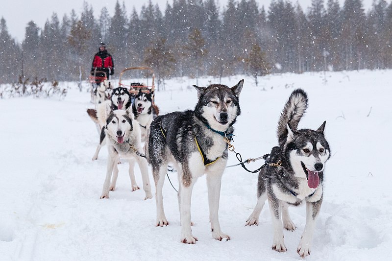 Lapland Harriniva Holiday Centre