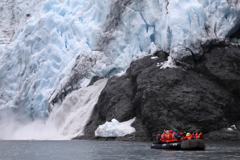 Condor glacier Tierra del Fuego