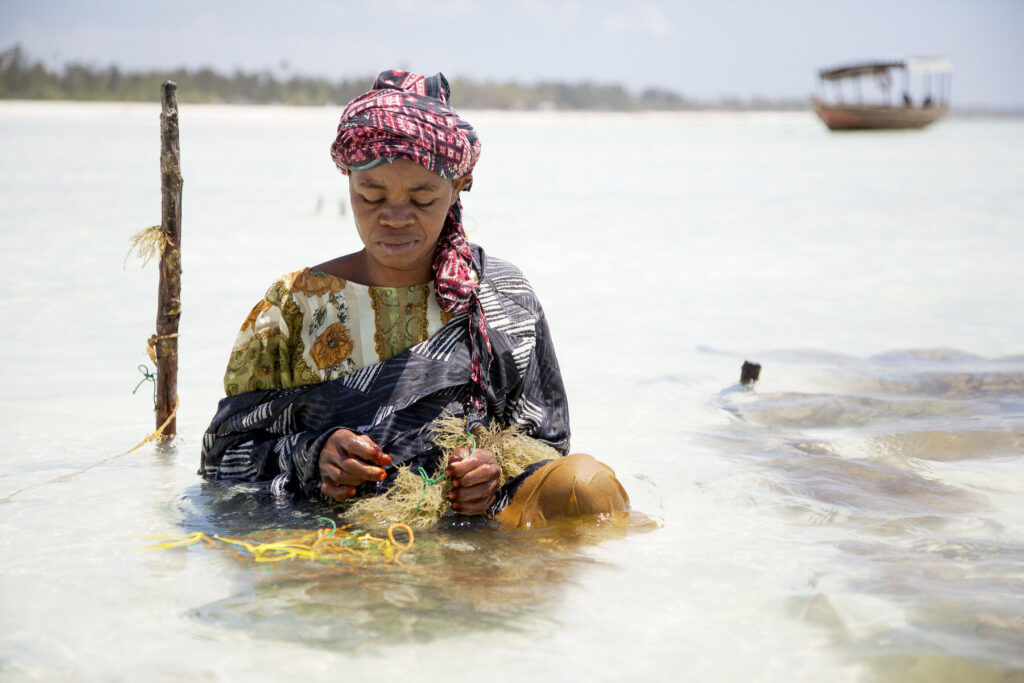 Zanzibar travel 