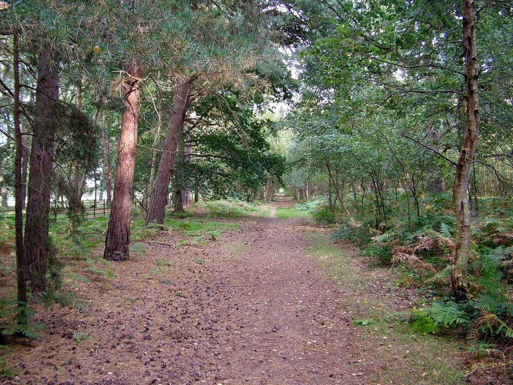 Sailors' Path Suffolk winter walks Britain 