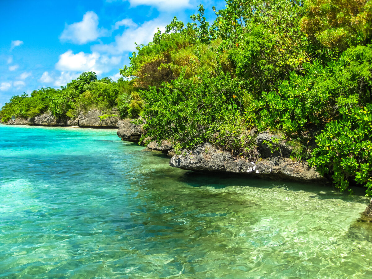 ile aux aigrettes mauritius