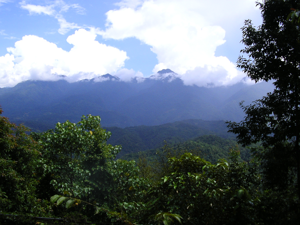 Gaoligong Mountains Chinese nature reserve 